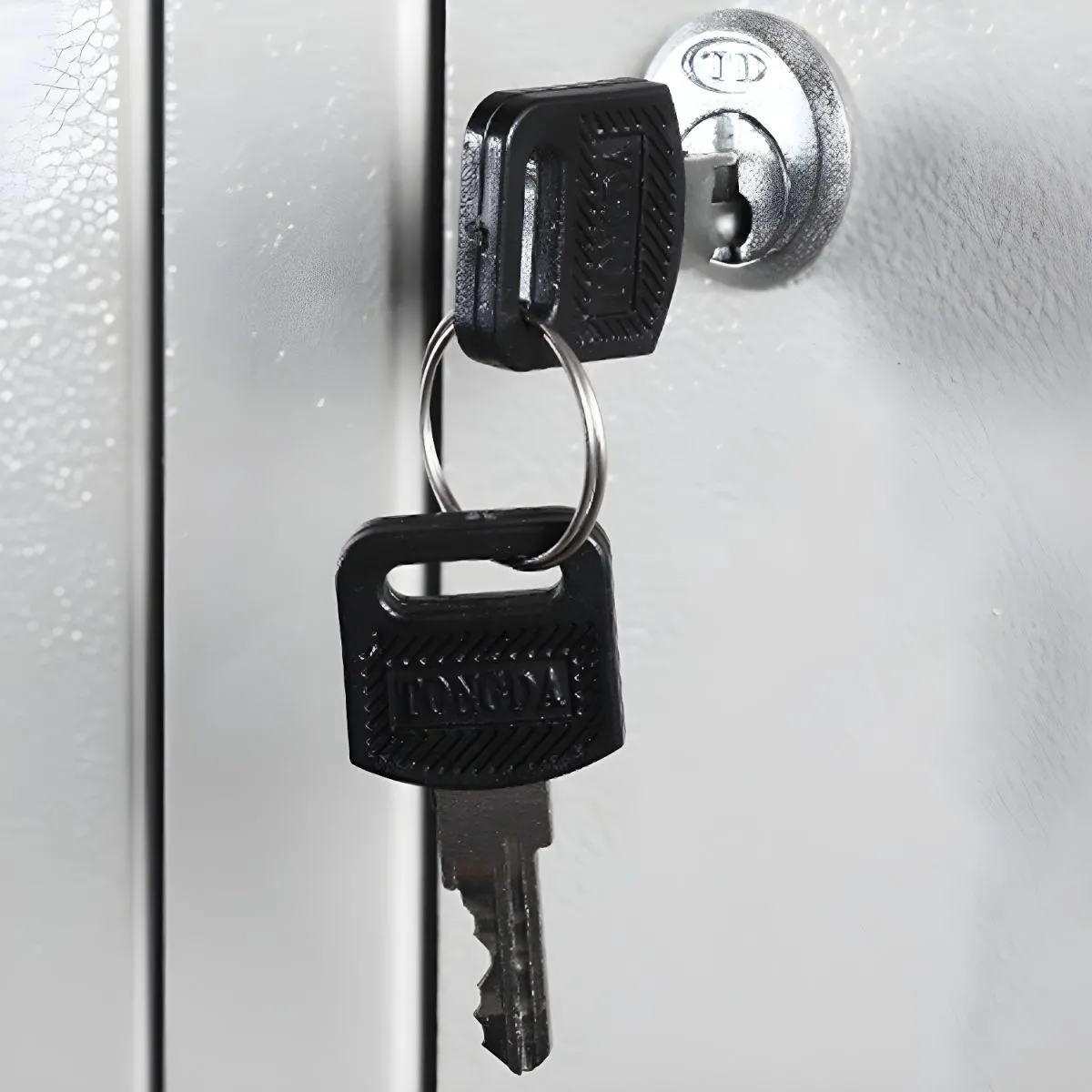 1200x1200 2023 11 20T161608.444.jpg