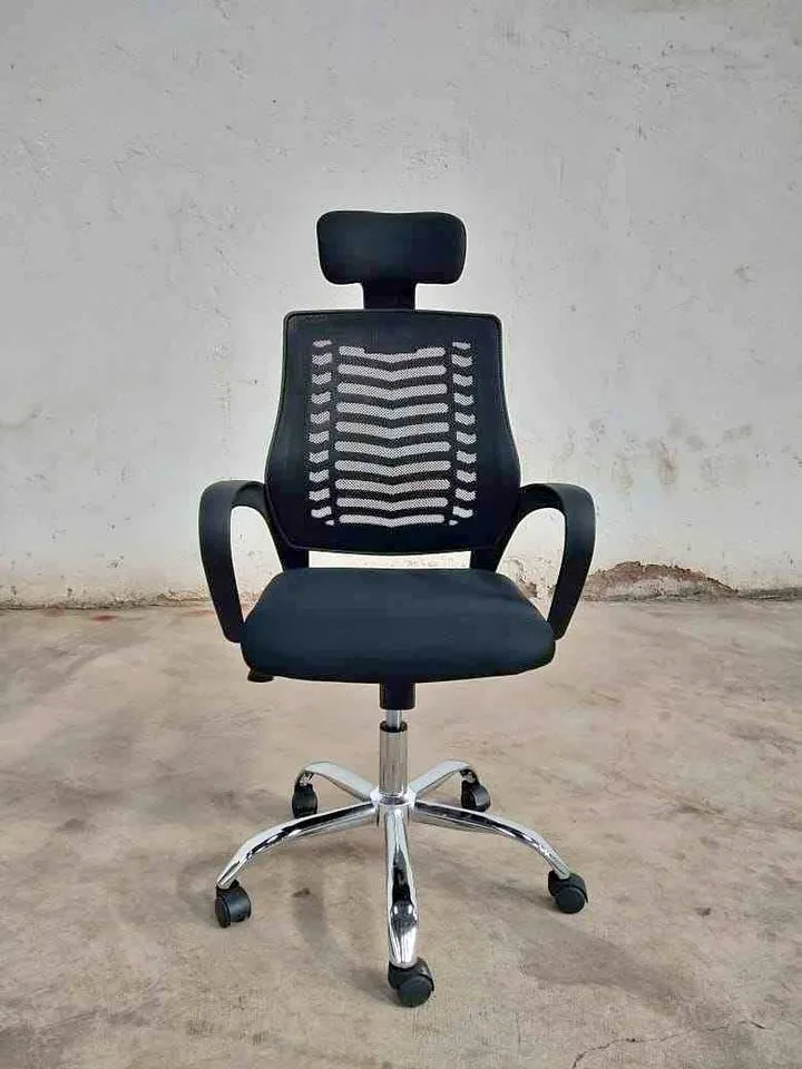 341917565 5975316255911167 8488481087865770468 n 1.jpg