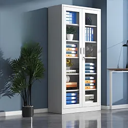 2-Door Full Glass Metallic Cabinet